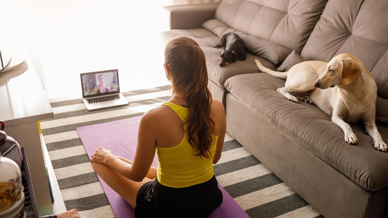 Mindfulness Meditation | Student Health on Haven